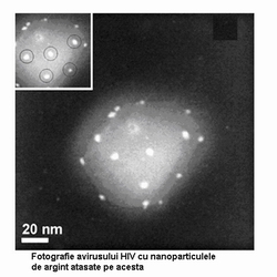 Virus HIV cu nanoparticule de argint lipite